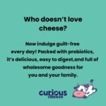 EDAM PROBIOTIC CHEESE