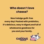 MOZZARELLA PROBIOTIC CHEESE