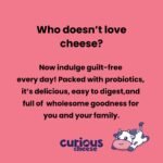 OAXACA PROBIOTIC CHEESE